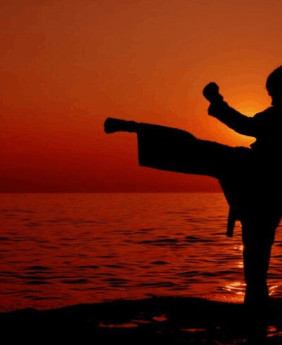 Martial Arts